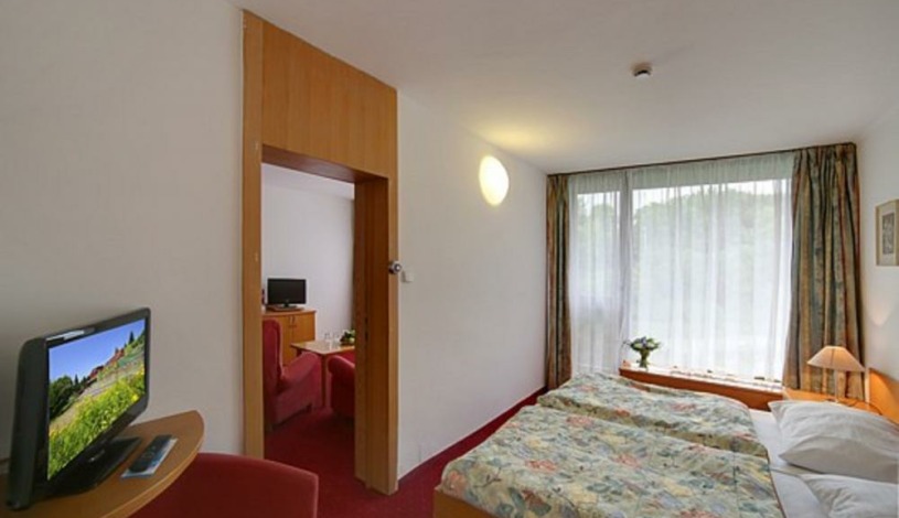 SPA HOTEL THERMAL**** Karlovy Vary - Dvoulůžkový pokoj